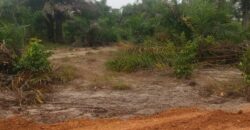 Brewerville Beach Community Land