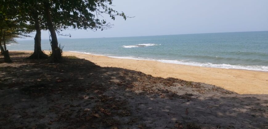 Prime Beachfront Property