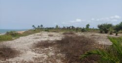 Prime Beachfront Property