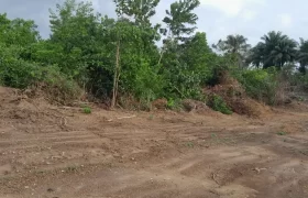 Huge land area in Massaquoi Town.   #103