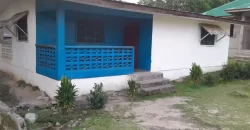 Entire Soule Clinic Property