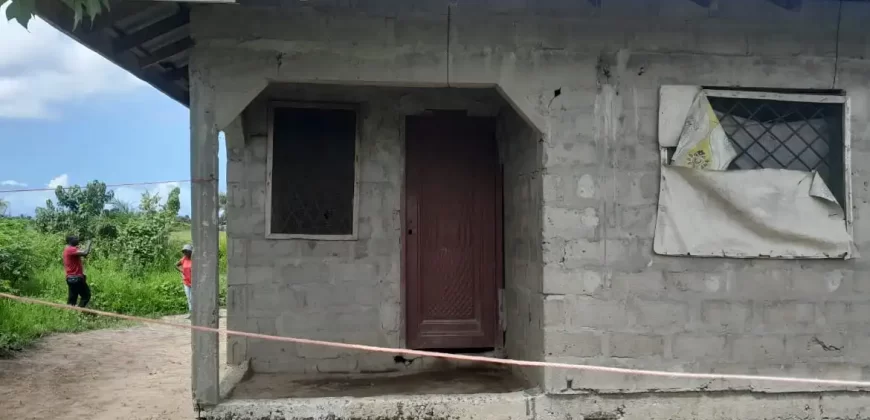 House in Palm Wine Station