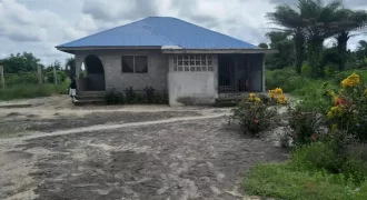 House in Palm Wine Station