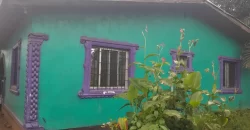 Four Houses for Sale
