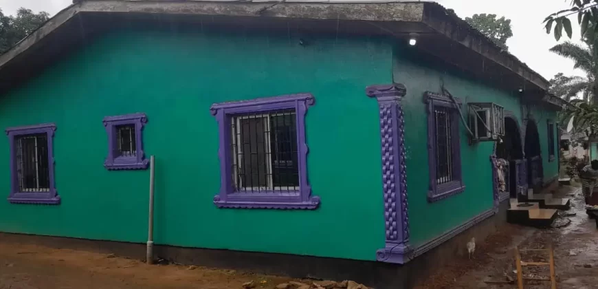 Four Houses for Sale