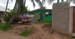 Two Houses for Sale