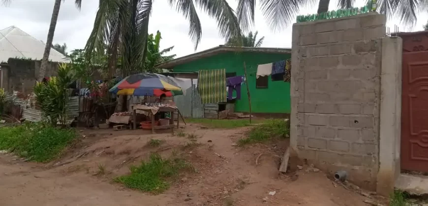 Two Houses for Sale