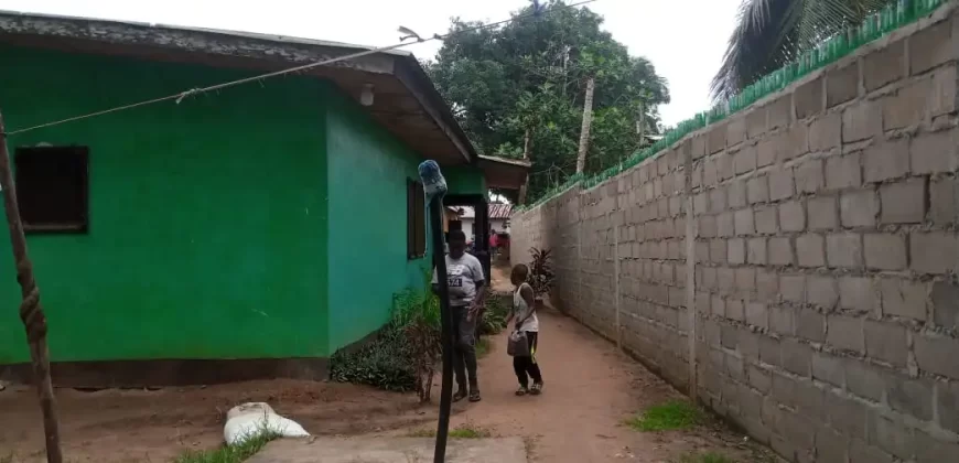 Two Houses for Sale