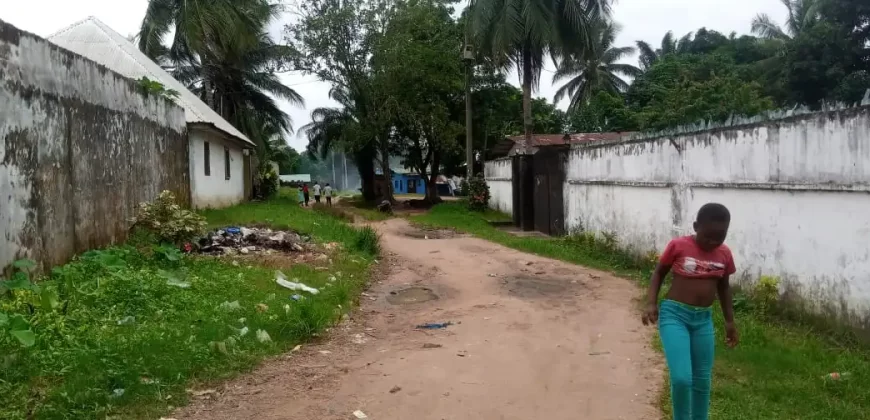 Two Houses for Sale