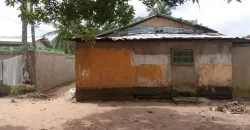 Two Houses for Sale