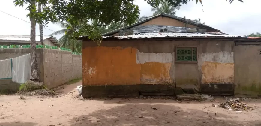 Two Houses for Sale
