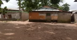 Two Houses for Sale