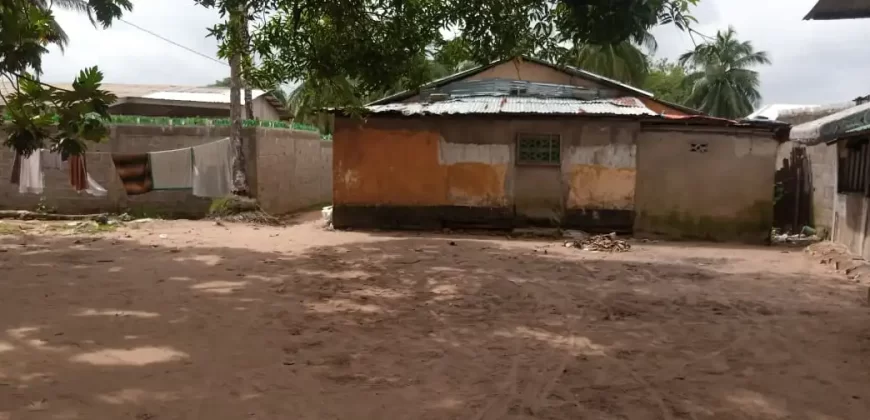 Two Houses for Sale
