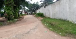 Two Houses for Sale