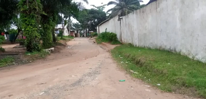 Two Houses for Sale