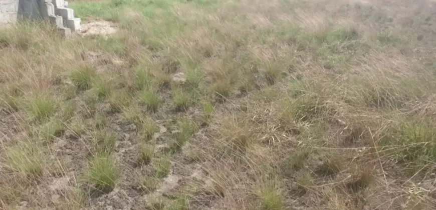 3 Acrea & 2 Lots near RIA. #113