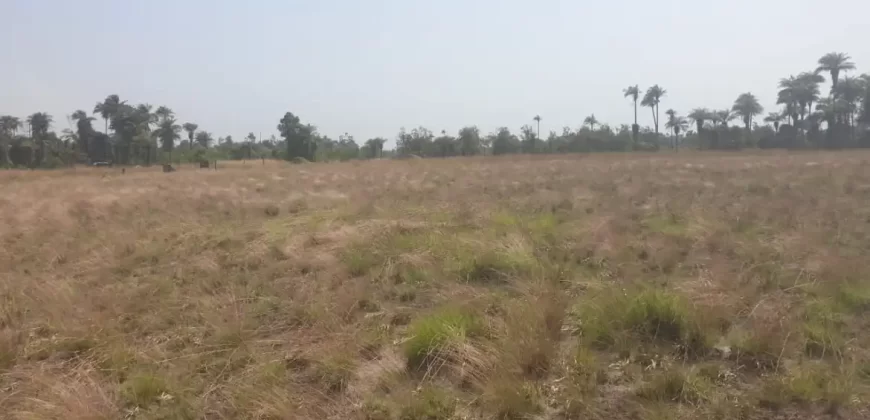 3 Acrea & 2 Lots near RIA. #113