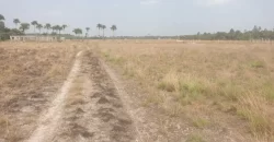 3 Acrea & 2 Lots near RIA. #113
