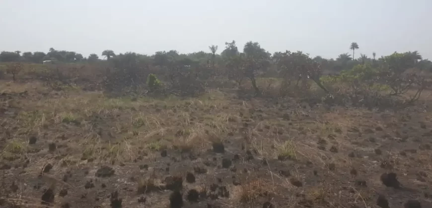 3 Acrea & 2 Lots near RIA. #113