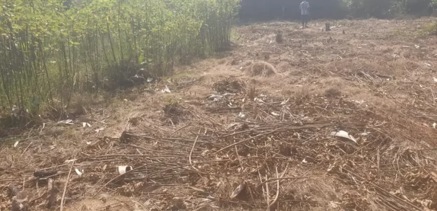 2 Lots for Sale #112