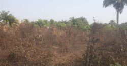 Land in Charlesville, Margibi County. #114