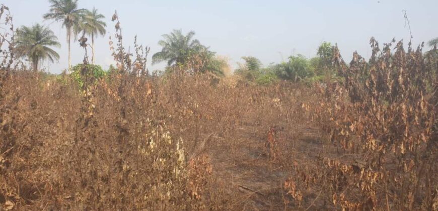 Land in Charlesville, Margibi County. #114