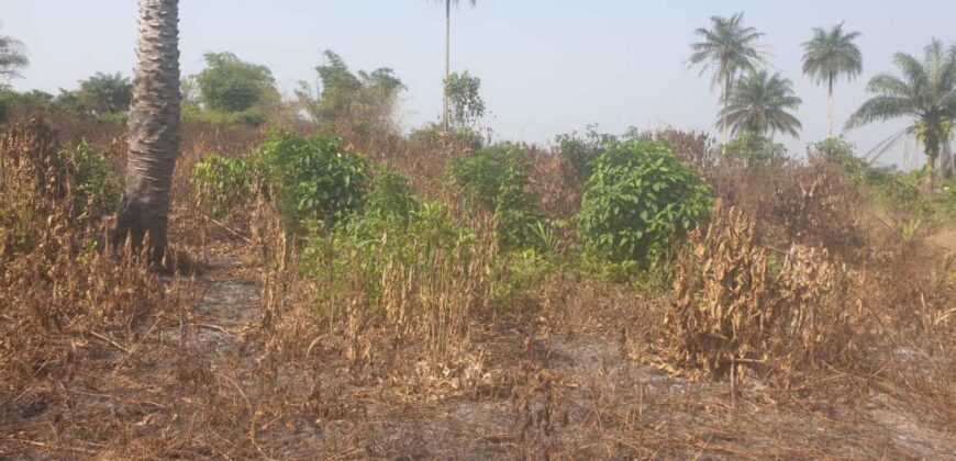 Land in Charlesville, Margibi County. #114