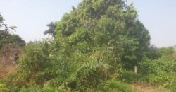 Land in Charlesville, Margibi County. #114