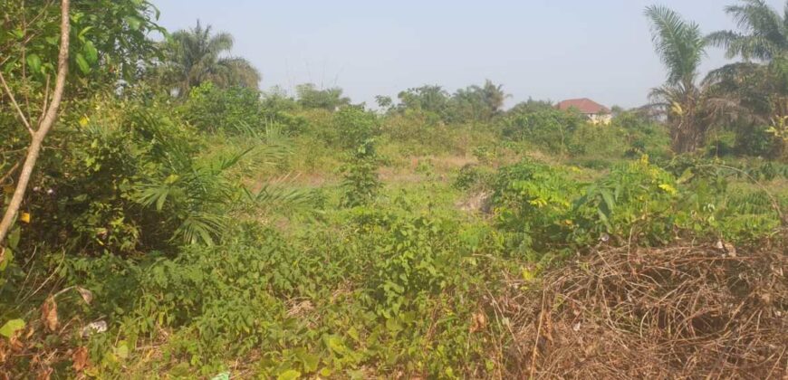 Land in Charlesville, Margibi County. #114