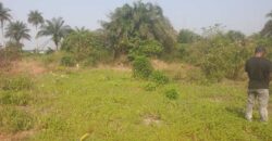 Land in Charlesville, Margibi County. #114