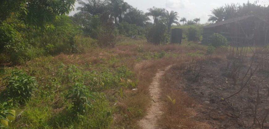 Land in Charlesville, Margibi County. #114