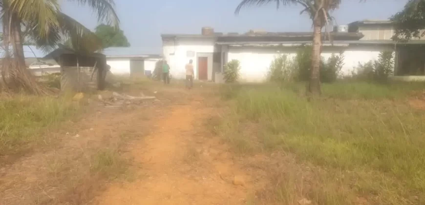 Riverfront Property on RIA Highway. #115