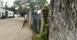 A Perfect Home in the Old Road Area