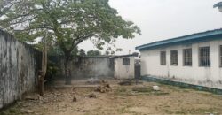 A Perfect Home in the Old Road Area