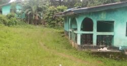 House and Land on GSA Road  $50K