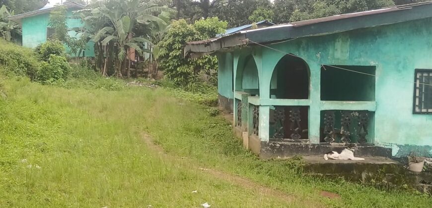 House and Land on GSA Road  $50K