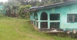 House and Land on GSA Road  $50K