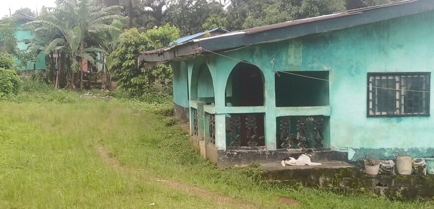 House and Land on GSA Road  $50K