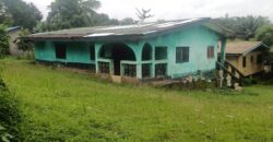 House and Land on GSA Road  $50K