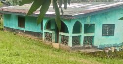 House and Land on GSA Road  $50K