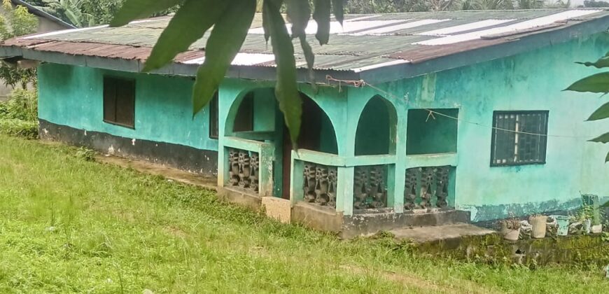 House and Land on GSA Road  $50K