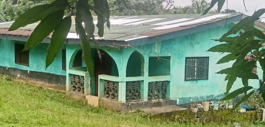 House and Land on GSA Road  $50K