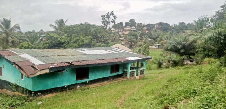 House and Land on GSA Road  $50K