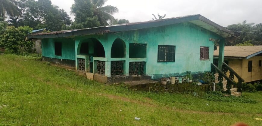 House and Land on GSA Road  $50K
