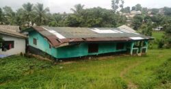 House and Land on GSA Road  $50K