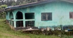 House and Land on GSA Road  $50K