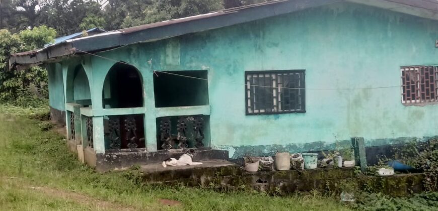 House and Land on GSA Road  $50K