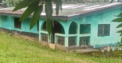 House and Land on GSA Road  $50K