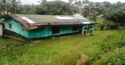 House and Land on GSA Road  $50K