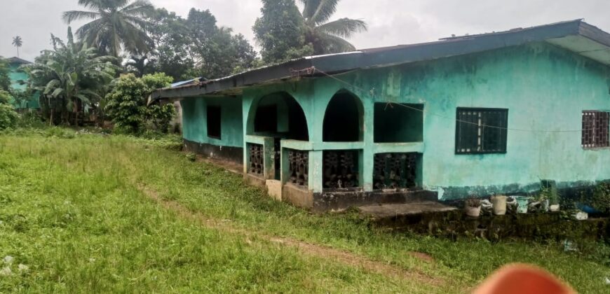 House and Land on GSA Road  $50K
